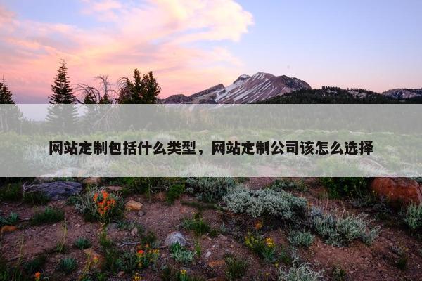网站定制包括什么类型，网站定制公司该怎么选择
