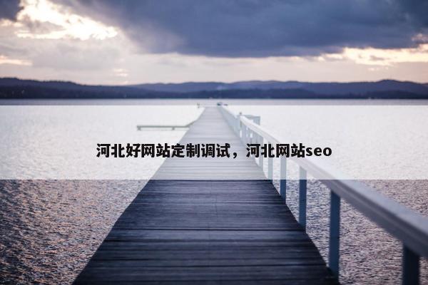 河北好网站定制调试，河北网站seo