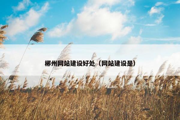郴州网站建设好处（网站建设是）