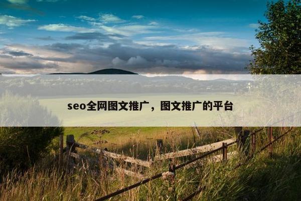 seo全网图文推广，图文推广的平台