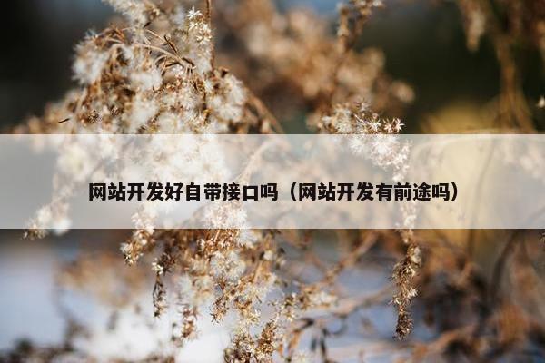 网站开发好自带接口吗（网站开发有前途吗）