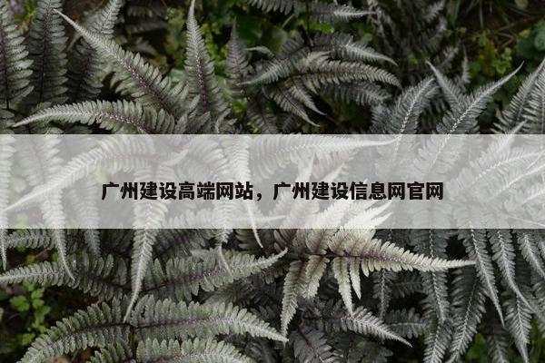 广州建设高端网站，广州建设信息网官网