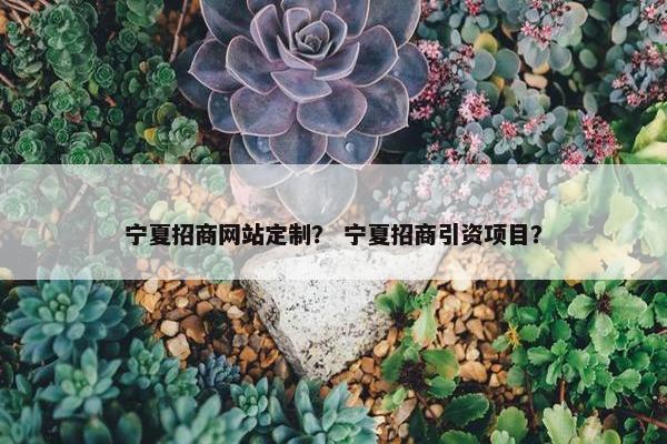 宁夏招商网站定制？ 宁夏招商引资项目？