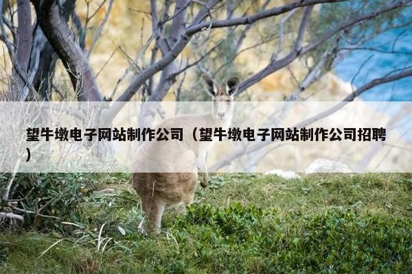 望牛墩电子网站制作公司（望牛墩电子网站制作公司招聘）