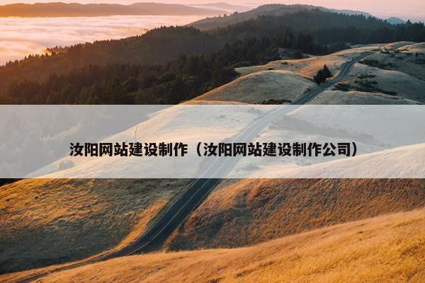 汝阳网站建设制作（汝阳网站建设制作公司）