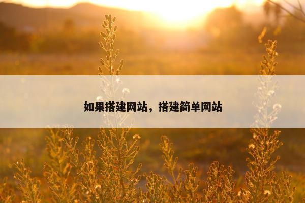 如果搭建网站，搭建简单网站