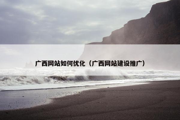 广西网站如何优化（广西网站建设推广）