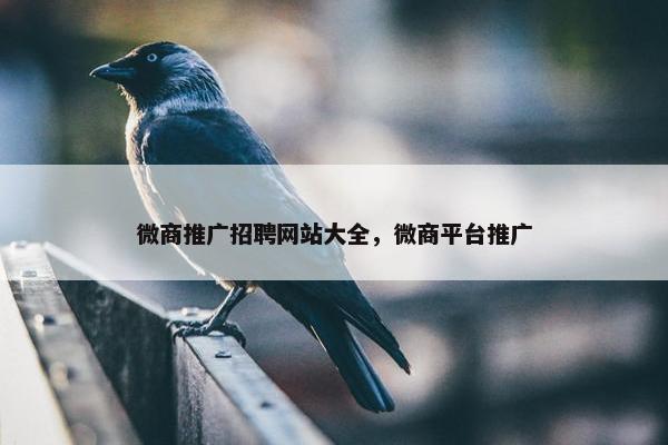 微商推广招聘网站大全，微商平台推广