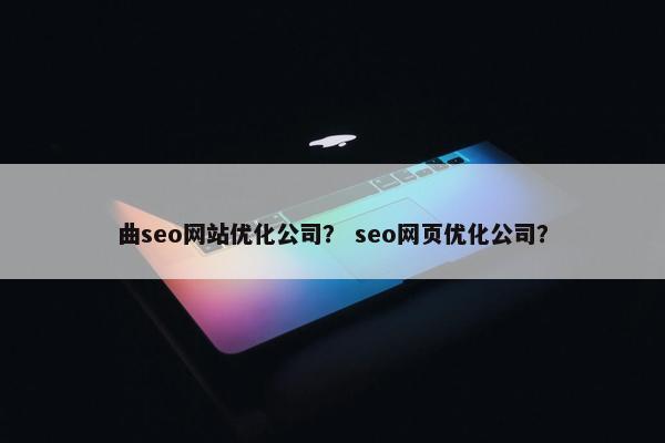曲seo网站优化公司？ seo网页优化公司？