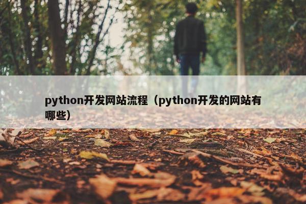 python开发网站流程（python开发的网站有哪些）