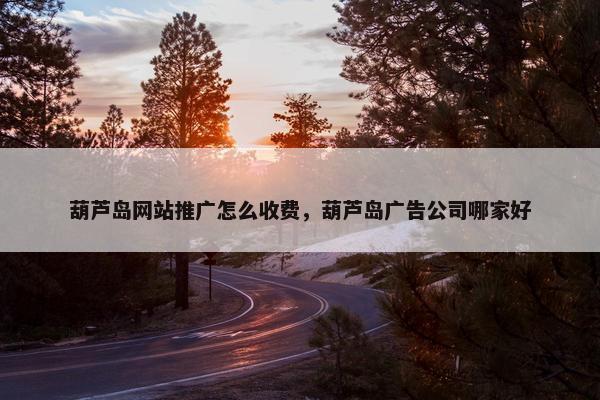 葫芦岛网站推广怎么收费，葫芦岛广告公司哪家好