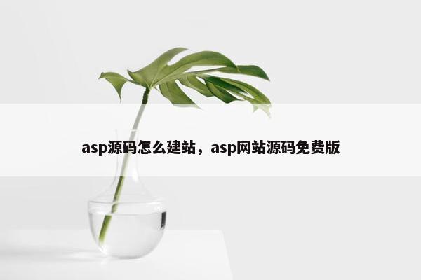 asp源码怎么建站，asp网站源码免费版