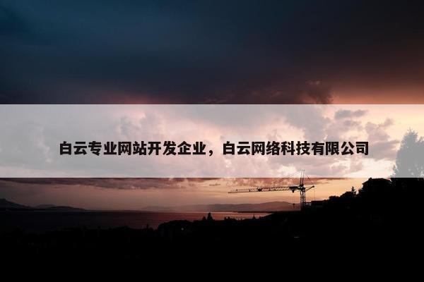 白云专业网站开发企业，白云网络科技有限公司