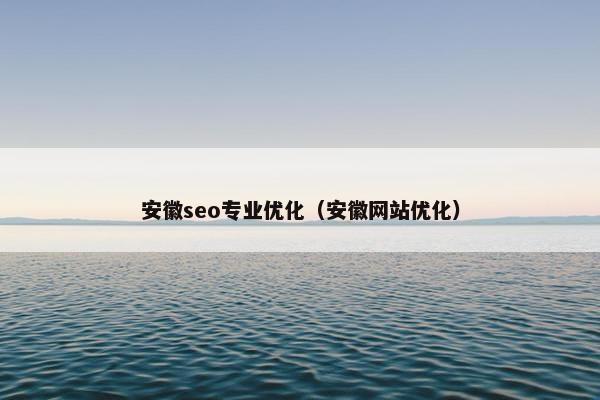 安徽seo专业优化（安徽网站优化）