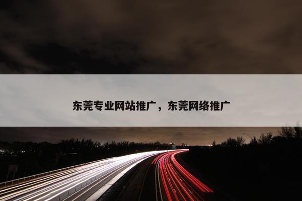 东莞专业网站推广，东莞网络推广