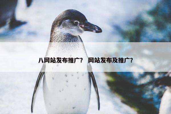 八网站发布推广？ 网站发布及推广？
