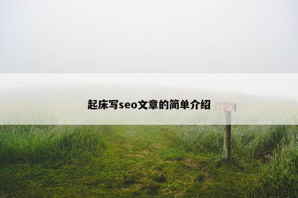起床写seo文章的简单介绍