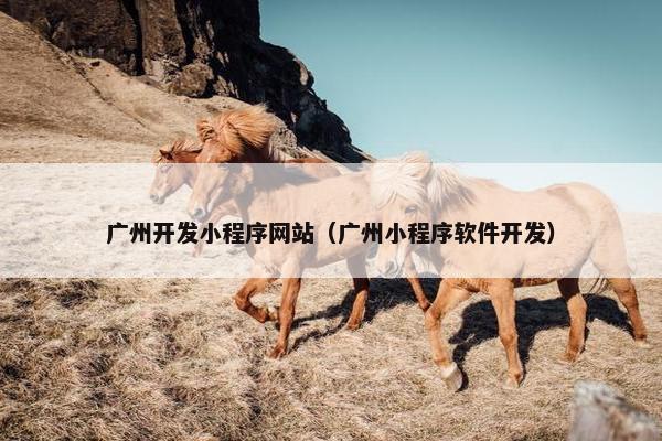 广州开发小程序网站（广州小程序软件开发）