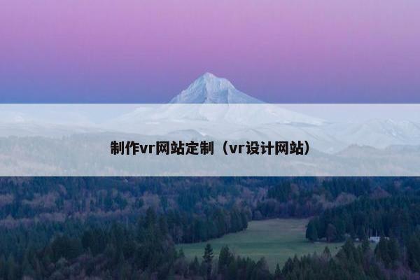 制作vr网站定制（vr设计网站）