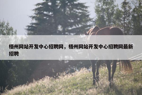梧州网站开发中心招聘网，梧州网站开发中心招聘网最新招聘