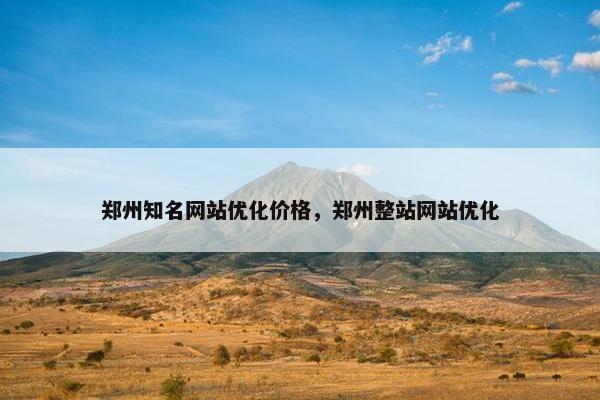 郑州知名网站优化价格，郑州整站网站优化