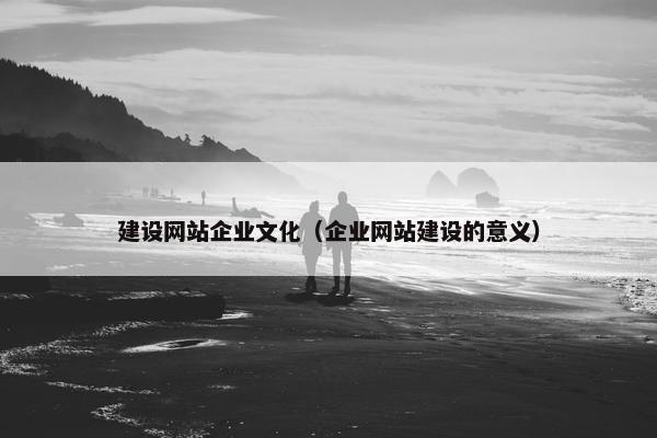 建设网站企业文化（企业网站建设的意义）