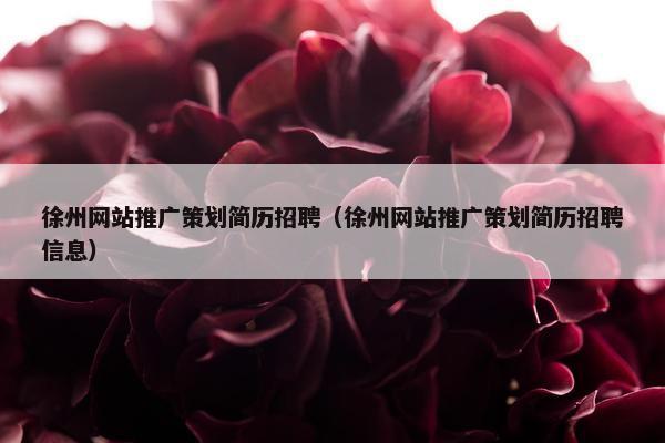 徐州网站推广策划简历招聘（徐州网站推广策划简历招聘信息）