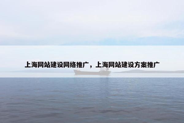 上海网站建设网络推广，上海网站建设方案推广