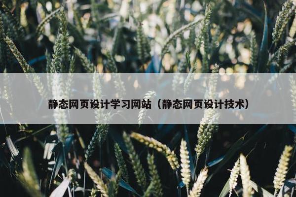 静态网页设计学习网站（静态网页设计技术）