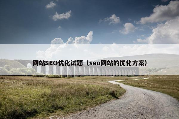 网站SEO优化试题（seo网站的优化方案）