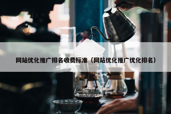 网站优化推广排名收费标准（网站优化推广优化排名）