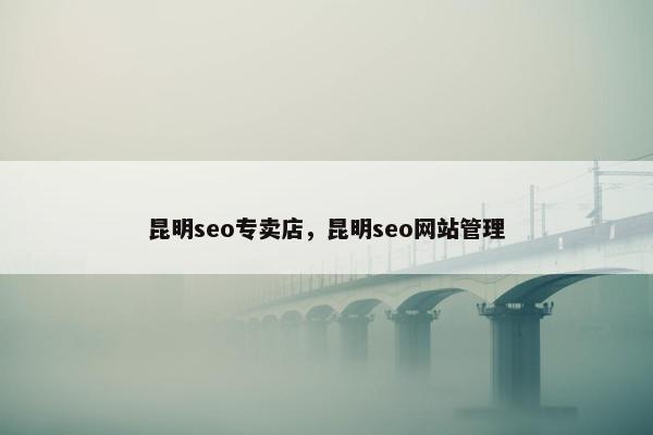 昆明seo专卖店，昆明seo网站管理