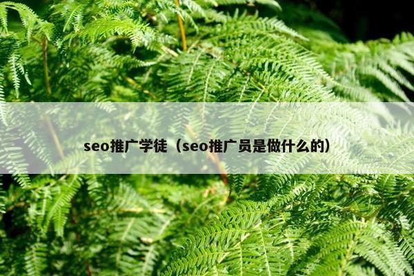 seo推广学徒（seo推广员是做什么的）