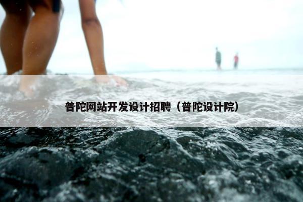 普陀网站开发设计招聘（普陀设计院）