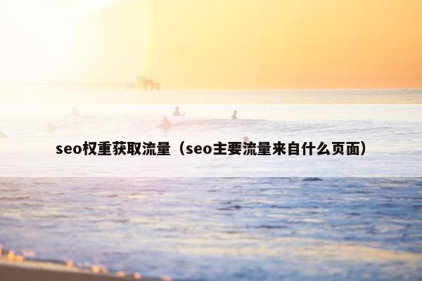 seo权重获取流量（seo主要流量来自什么页面）