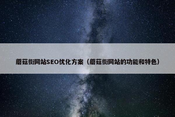 蘑菇街网站SEO优化方案（蘑菇街网站的功能和特色）