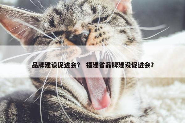 品牌建设促进会？ 福建省品牌建设促进会？