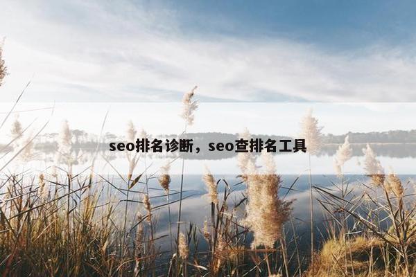 seo排名诊断，seo查排名工具