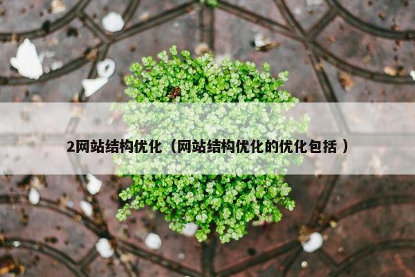 2网站结构优化（网站结构优化的优化包括 ）