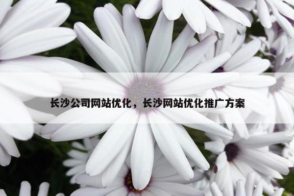 长沙公司网站优化，长沙网站优化推广方案