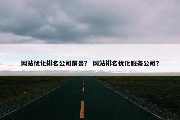 网站优化排名公司前景？ 网站排名优化服务公司？