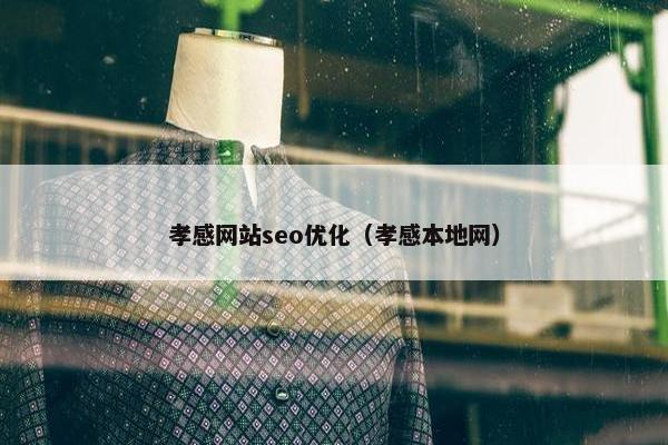 孝感网站seo优化（孝感本地网）