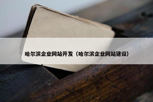 哈尔滨企业网站开发（哈尔滨企业网站建设）