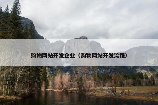 购物网站开发企业（购物网站开发流程）