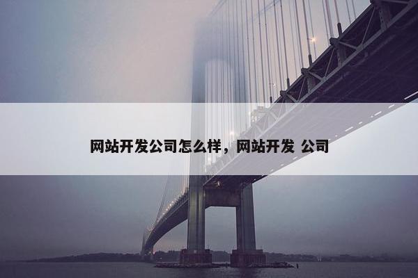 网站开发公司怎么样，网站开发 公司