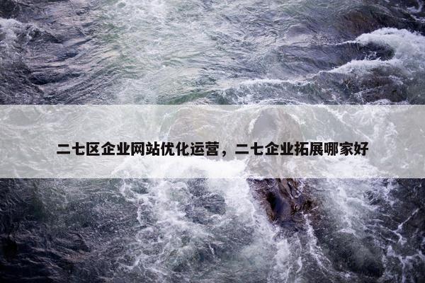 二七区企业网站优化运营，二七企业拓展哪家好