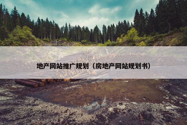 地产网站推广规划（房地产网站规划书）