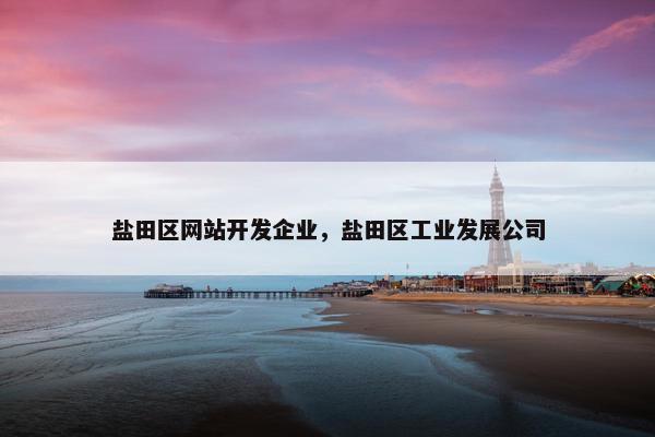 盐田区网站开发企业，盐田区工业发展公司