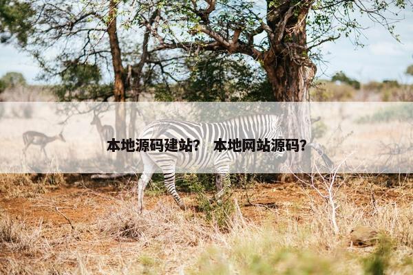 本地源码建站？ 本地网站源码？