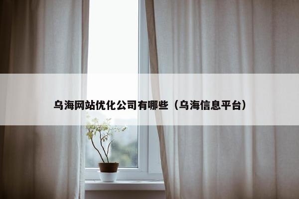 乌海网站优化公司有哪些（乌海信息平台）